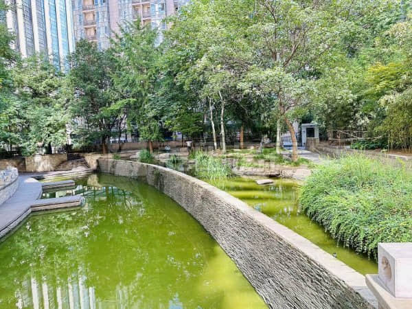 武汉铁路：冰冻雨雪致多趟列车停运，请不要贸然前往火车站